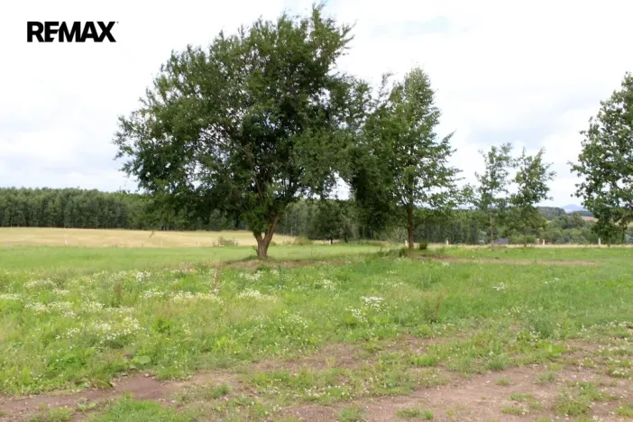 Prodej pozemku pro bydlení, Pertoltice, 4488 m2