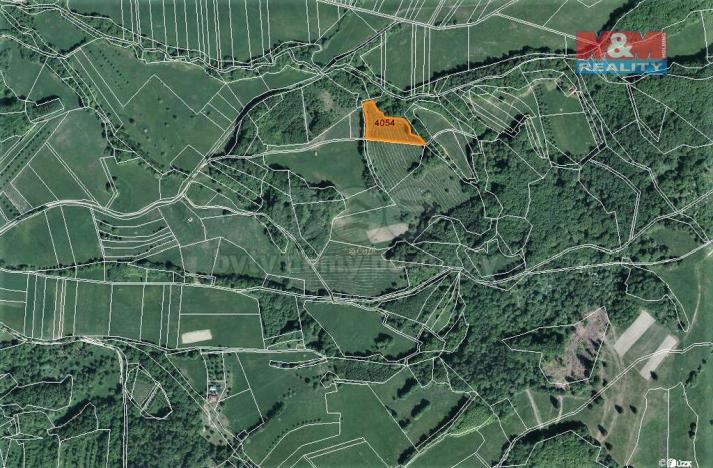 Prodej trvalého travního porostu, Nedašov, 1151 m2