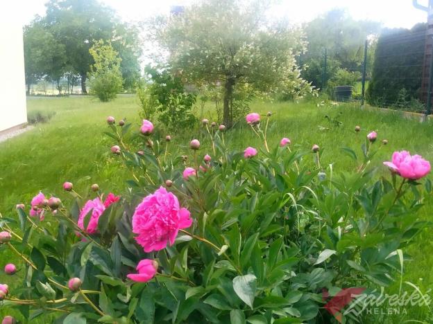 Prodej rodinného domu, Staré Hrady, 141 m2