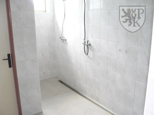 Prodej komerční nemovitosti, Velké Hydčice, 1100 m2