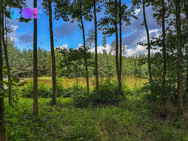 Prodej pozemku pro bydlení, Skuhrov, 3959 m2