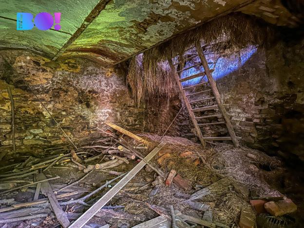 Prodej pozemku pro bydlení, Skuhrov, 3959 m2