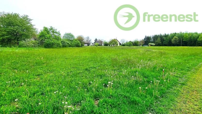 Prodej pozemku pro bydlení, Orlické Podhůří, 2509 m2