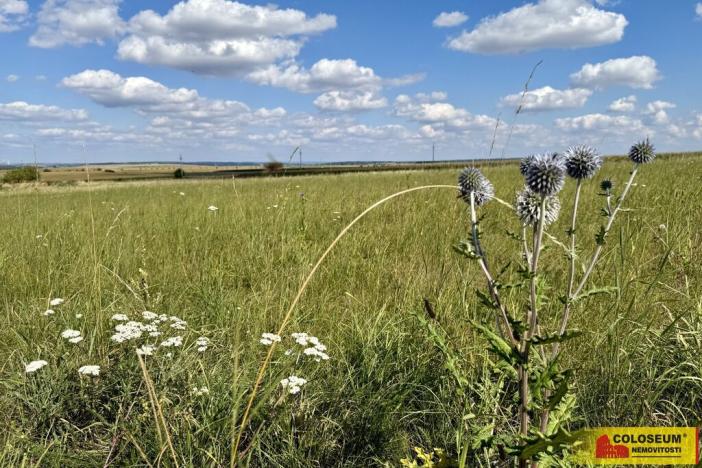 Prodej pozemku pro komerční výstavbu, Znojmo, 22332 m2