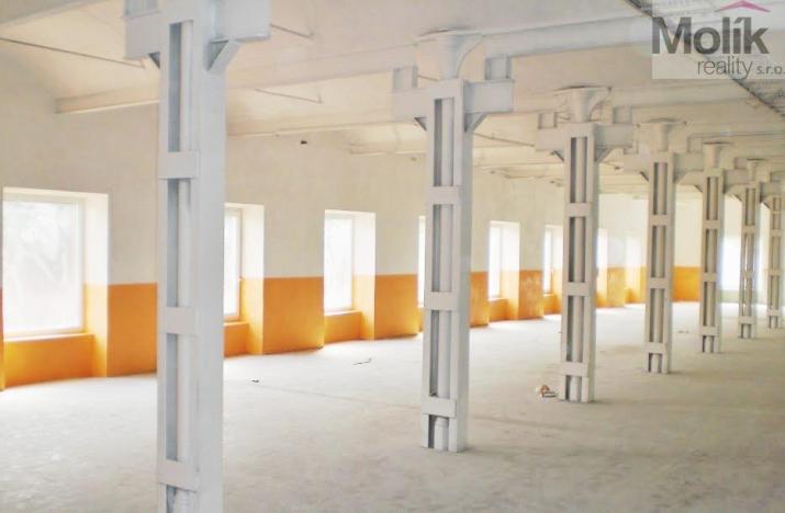 Pronájem výrobních prostor, Děčín - Děčín IX-Bynov, Teplická, 150 m2
