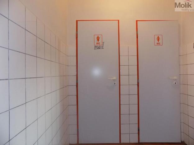 Pronájem skladu, Děčín - Děčín IX-Bynov, Teplická, 600 m2