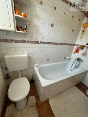 Prodej vícegeneračního domu, Žatec, Tyršova, 417 m2