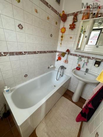 Prodej vícegeneračního domu, Žatec, Tyršova, 417 m2