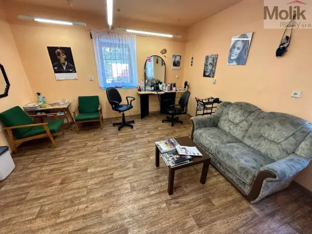 Prodej vícegeneračního domu, Žatec, Tyršova, 417 m2