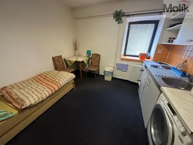 Prodej vícegeneračního domu, Žatec, Tyršova, 417 m2