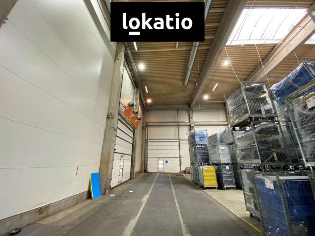 Pronájem výrobních prostor, Litovel, 7670 m2