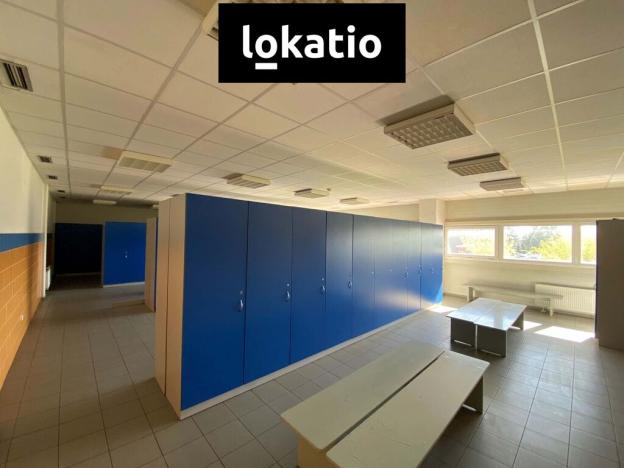 Pronájem výrobních prostor, Litovel, 7670 m2