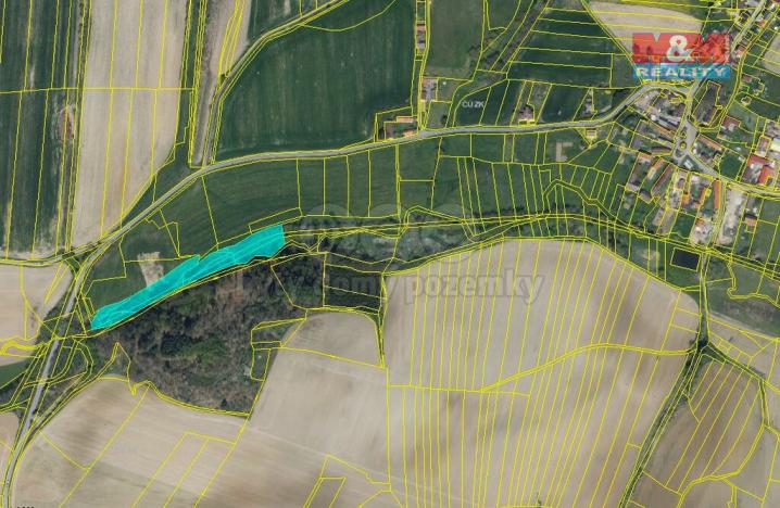 Prodej trvalého travního porostu, Sedliště, 8352 m2