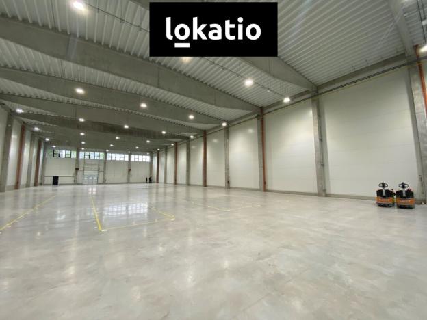 Pronájem skladu, Rousínov, 6014 m2