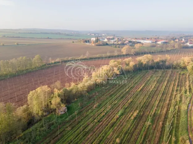 Prodej ubytování, Kolešov, 21 m2