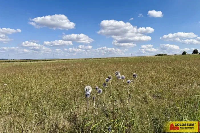 Prodej pozemku pro komerční výstavbu, Znojmo - Mramotice, 8168 m2
