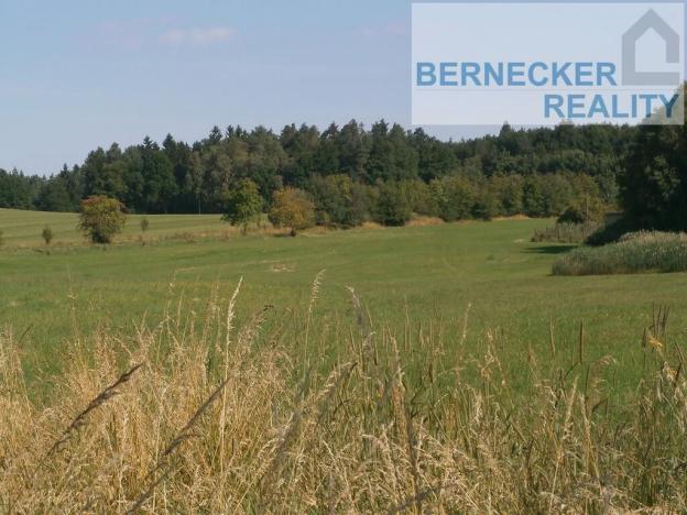 Prodej pozemku, Lukavec u Hořic, 6816 m2