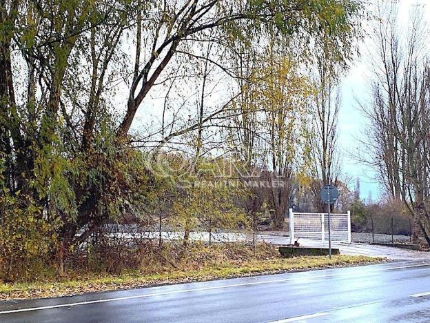 Prodej komerčního pozemku, Mnichovo Hradiště, 32000 m2