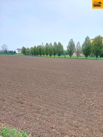 Prodej komerční nemovitosti, Uničov, 2771 m2