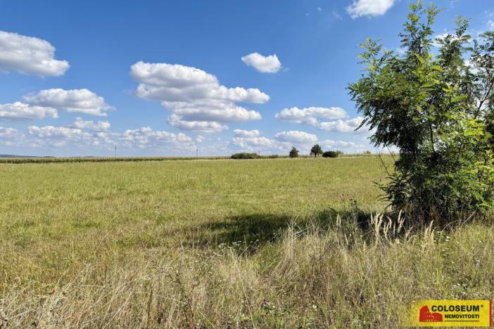 Prodej pozemku pro komerční výstavbu, Znojmo, 27908 m2