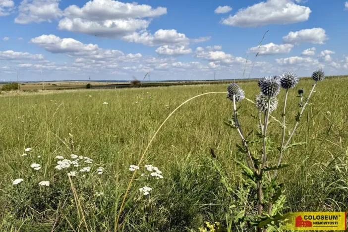 Prodej pozemku pro komerční výstavbu, Znojmo, 27908 m2