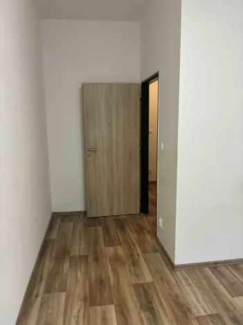 Pronájem bytu 3+kk, Břidličná, Lesy, 67 m2