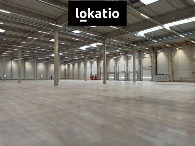 Pronájem skladu, Pardubice, 8000 m2