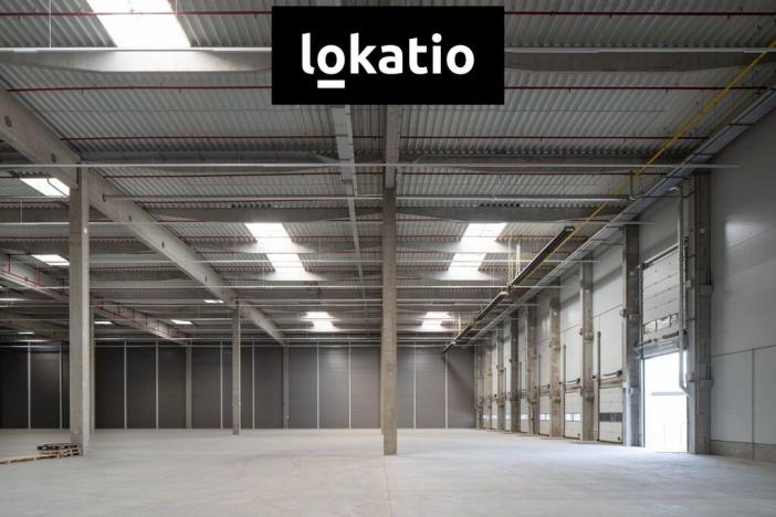 Pronájem skladu, Pardubice, 8000 m2