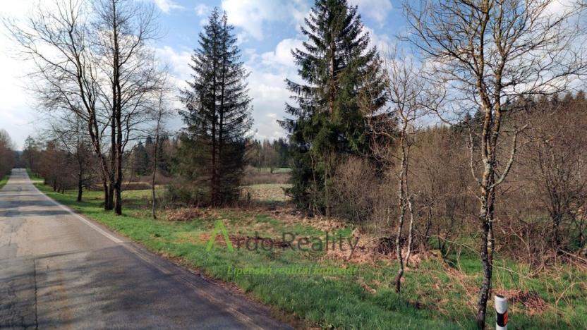 Prodej pozemku, Přední Výtoň, 13889 m2