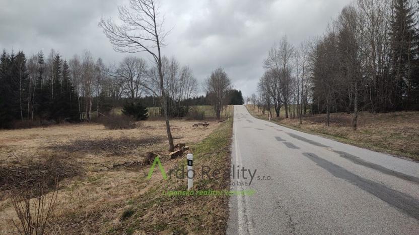 Prodej pozemku, Přední Výtoň, 13889 m2