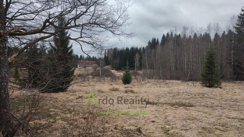 Prodej pozemku, Přední Výtoň, 13889 m2