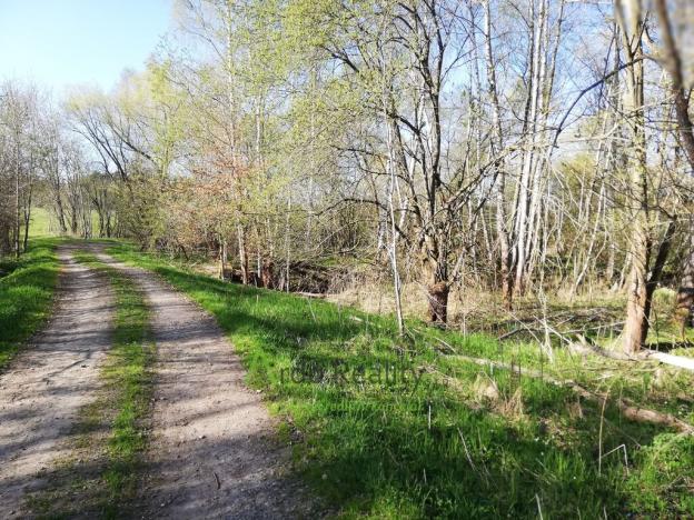 Prodej pozemku pro bydlení, Benešov nad Černou - Hartunkov, 5446 m2