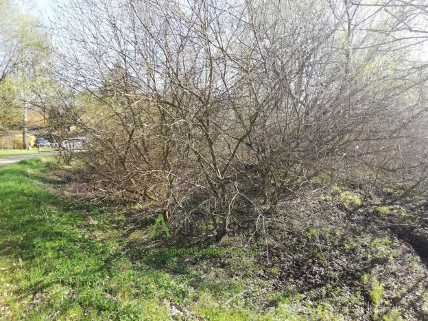 Prodej pozemku pro bydlení, Benešov nad Černou - Hartunkov, 5446 m2