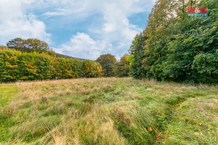 Prodej pozemku pro bydlení, Kraslice, 1078 m2