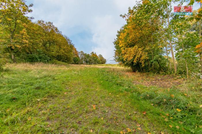 Prodej pozemku pro bydlení, Kraslice, 2182 m2