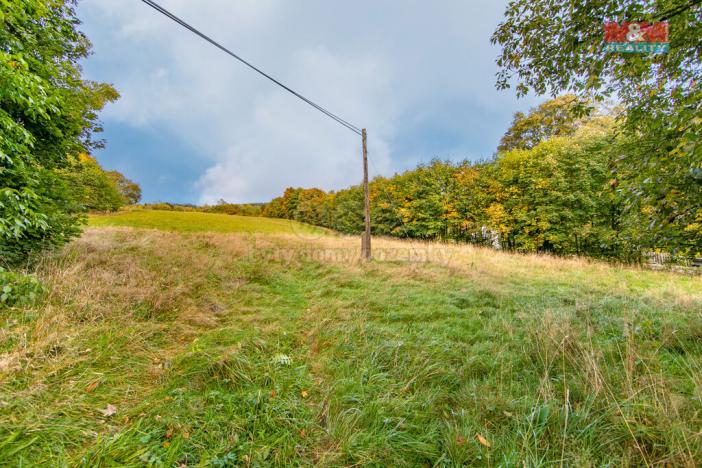 Prodej pozemku pro bydlení, Kraslice, 2182 m2