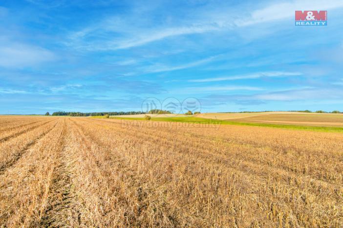 Prodej pole, Krásné Údolí, 4533 m2