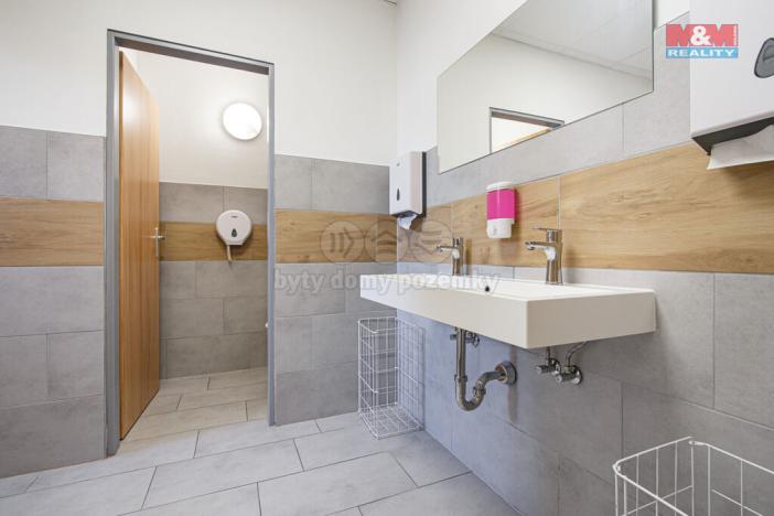 Pronájem komerční nemovitosti, Vřesina, Ovocná, 635 m2