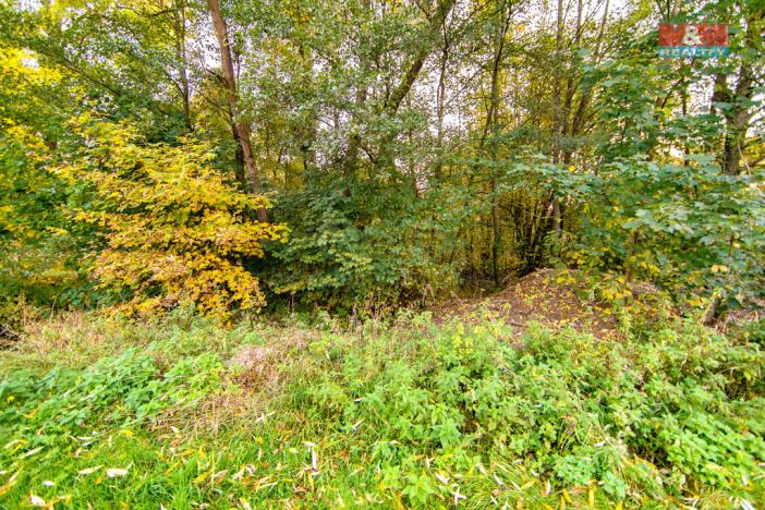 Prodej louky, Stará Voda - Sekerské Chalupy, 1446 m2