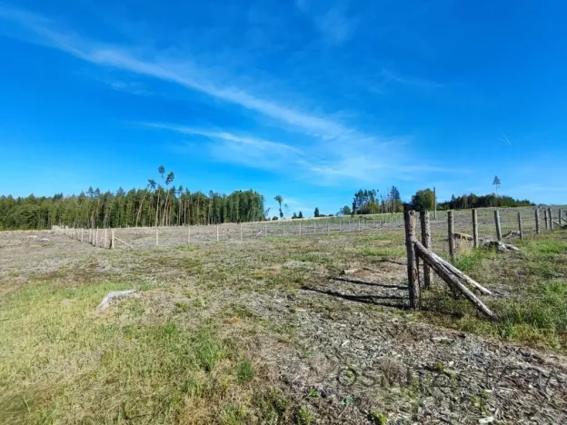 Prodej lesa, Žďár, 233155 m2