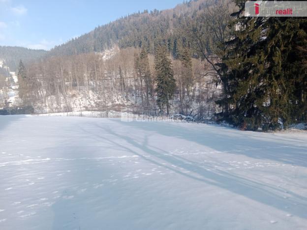 Prodej pozemku pro bydlení, Merklín - Pstruží, 4233 m2