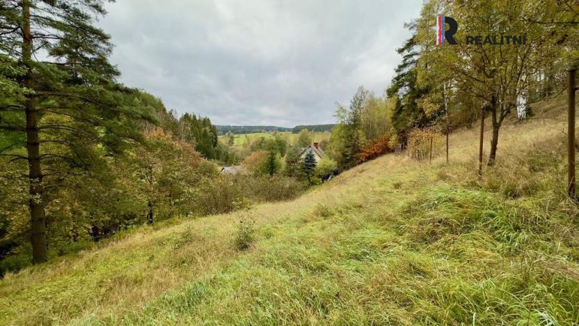 Prodej rodinného domu, Kraslice - Krásná, 185 m2