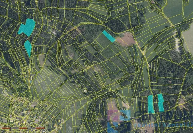 Prodej lesa, Železný Brod - Jirkov, 15992 m2