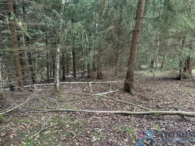 Prodej lesa, Železný Brod - Jirkov, 15992 m2