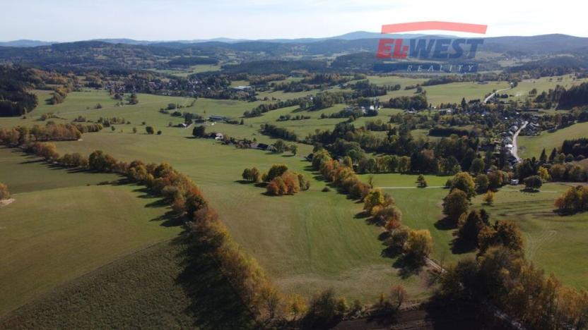 Prodej trvalého travního porostu, Stachy, 15932 m2