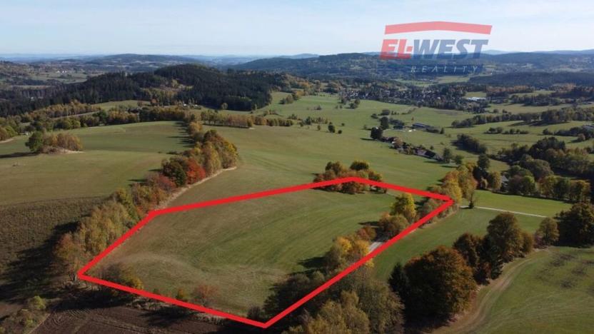 Prodej trvalého travního porostu, Stachy, 15932 m2