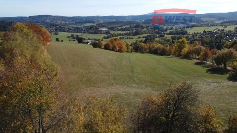 Prodej trvalého travního porostu, Stachy, 15932 m2