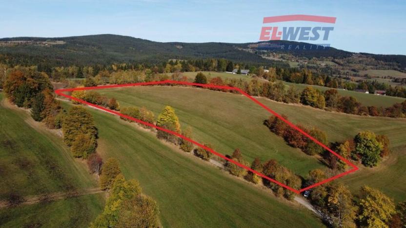 Prodej trvalého travního porostu, Stachy, 15932 m2