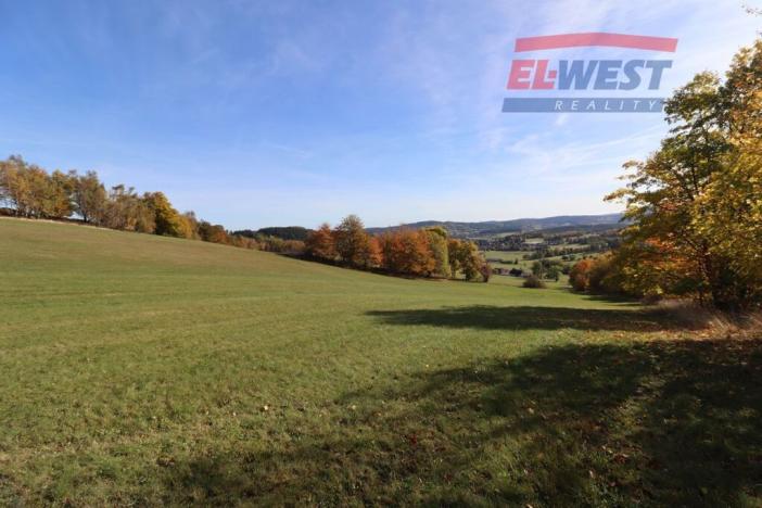 Prodej trvalého travního porostu, Stachy, 15932 m2