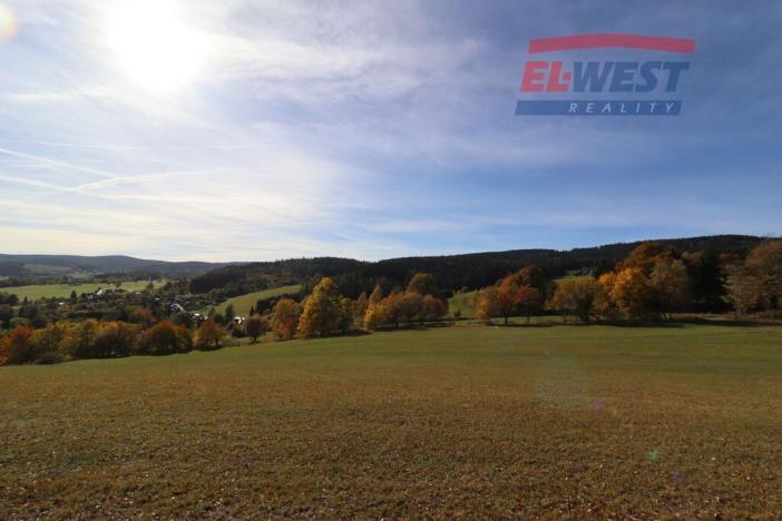 Prodej trvalého travního porostu, Stachy, 15932 m2